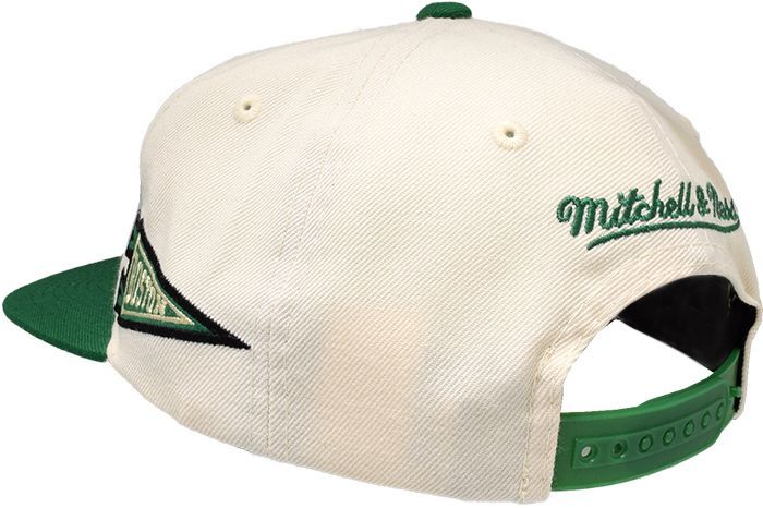 celtics banner hat