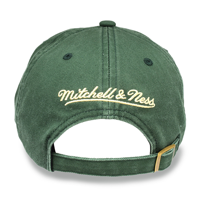 bucks dad hat