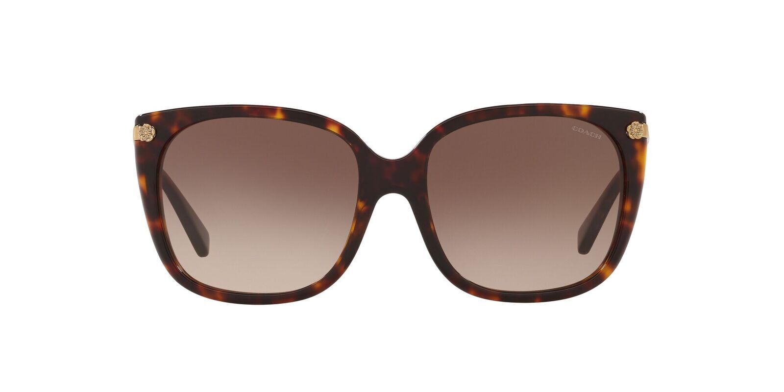 coach women's hc8272 sunglasses