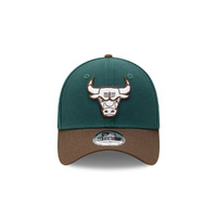 New Era Chicago Bulls 39Thirty Forest Dark Green L/XL