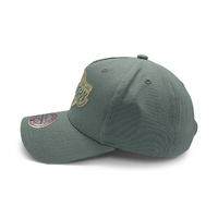 Mitchell & Ness Los Angeles Lakers Pro-Crown Seasonal Core Green OSFM