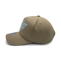 Mitchell & Ness Los Angeles Kings Pro-Crown Seasonal Core Khaki OSFM