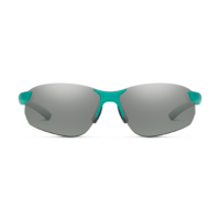 Smith Parallel Max 2.0 1ED/T4 71 Green / Silver Mirror Polarised Lenses