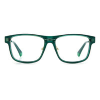 Polaroid PLD Clip-On 6134/CS J5G UC 54 Gold / Green Polarised Lenses