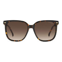 Carrera 3002/S 086 HA 55 Havana / Brown Gradient Lenses