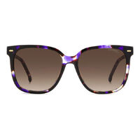 Carrera 3002/S HKZ HA 55 Violet Havana / Brown Gradient Lenses