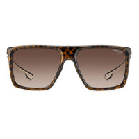 Carrera 4019/S 086 HA 58 Havana / Brown Gradient Lenses