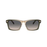 Coach HC8397U 5797G9-57 Olive Tan Gradient / Green Sand Lenses