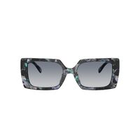 Coach CW224 HC8409U 584535-53 Blue Pearl Tortoise / Blue Purple Gradient Lenses