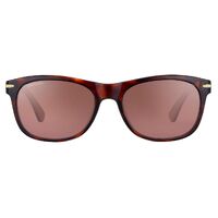 Serengeti Anteo 8671 Shiny Dark Tortoise / Drivers Gradient Polarised Photochromic Lenses