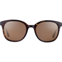 Serengeti Mara 8773 Shiny Tortoise / Drivers Gradient Polarised Photochromic Lenses