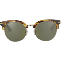 Serengeti Susan SS560002 Havana / 555nm Polarised Photochromic Lenses