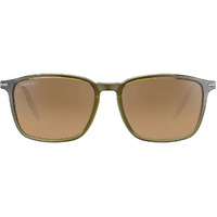 Serengeti Lenwood SS485003 Shiny Crystal Dark Green / Drivers Photochromic Polarised Lenses