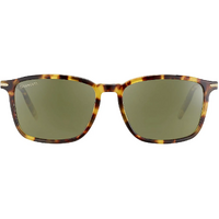 Serengeti Lenwood SS485004 Shiny Classic Havana / 555nm Photochromic Polarised Lenses