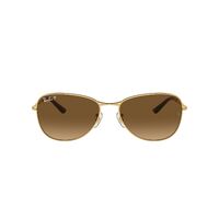 Ray-Ban RB3733 001/M2-56 Gold / Brown Gradient Polarised Lenses