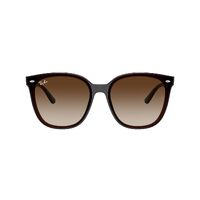 Ray-Ban RB4423D 714/13-66 Transparent Brown / Brown Gradient Lenses