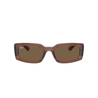 Ray-Ban RB4395 667873-54 Kiliane Transparent Brown / Dark Brown Lenses