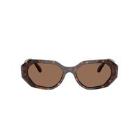 Swarovski SK6028 100273-54 Dark Havana / Dark Brown Lenses