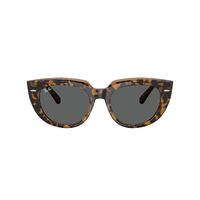 Ray-Ban RB2286 1292B1-49 Doreen Havana On Transparent Brown / Dark Grey Lenses