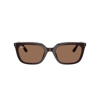 Ray-Ban RB4439D 623173-54 Opal Brown / Dark Brown Lenses