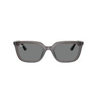 Ray-Ban RB4439D 667587-54 Transparent Grey / Dark Grey Lenses