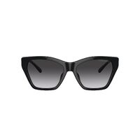 Emporio Armani EA4203U 50178G-55 Shiny Black / Smoke Gradient Lenses