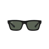 Ray-Ban RB4396 667771-54 Warren Black / Dark Green Lenses