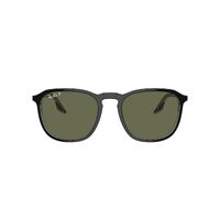 Ray-Ban RB2203 919/58-55 Black On Transparent / Green Polarised Lenses