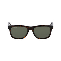 Lacoste L6014S 230-55 Dark Havana / Solid Green Lenses