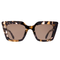 Sito Cult Vision SICTV011S Chestnut Tortoise / Coffee Lenses