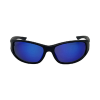 Urban Zoo Hit Up C12 Matte Black / Smoke w Blue Revo Lenses