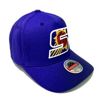 Mitchell & Ness Pheonix Suns NBA Initial Purple OSFM MNPS21198H