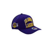 Mitchell & Ness Los Angeles Lakers NBA Zone Purple OSFM MNLL21012H