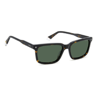 Polaroid PLD 4174/S/X 086 UC 55 Havana / Green Polarised Lenses