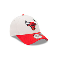 New Era Chicago Bulls 9Forty 2-Tone Repreve Stone/Red OSFM