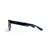 Zeal Whittier 12824 Shiny Transparent Dark Grey / Dark Grey Polarised Lenses