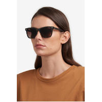 Carrera 3001/S 086 HA 54 Havana / Brown Gradient Lenses