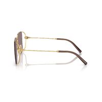 Coach CW429 HC7174D 94417N-59 Shiny Gold / Mauve Solid Lenses