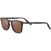 Serengeti Delio 8949 Shiny Dark Havana / Drivers Polarised Photochromic Lenses