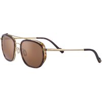 Serengeti Boron SS525001 Dark Tortoise w Bold Gold / Drivers Gold Polarised Photochromic Lenses