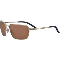 Serengeti Shelton SS547005 Matte Light Gold / Drivers Photochromic Lenses