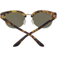 Serengeti Susan SS560002 Havana / 555nm Polarised Photochromic Lenses