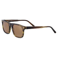 Serengeti Charlton SS576001 Shiny Tortoise / Drivers Polarised Photochromic Lenses