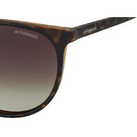 Polaroid PLD 6003/N/S V08 LA 54 Havana / Brown Gradient Polarised Lenses