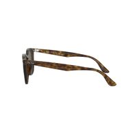 Ray-Ban RB4258 710/73-50 Light Havana / Dark Brown Lenses