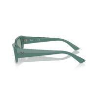 Ray-Ban RB4425 676282-54 Teru Algae Green / Petrol Green Lenses