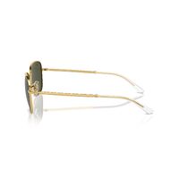 Ray-Ban RB3733 001/31-56 Gold / Green Lenses