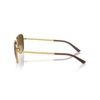 Ray-Ban RB3733 001/M2-56 Gold / Brown Gradient Polarised Lenses