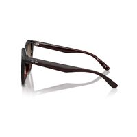 Ray-Ban RB4423D 714/13-66 Transparent Brown / Brown Gradient Lenses