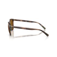 Polo Ralph Lauren PH4222U 500383-52 Shiny Dark Havana / Dark Brown Polarised Lenses